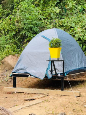 Munnar Tents